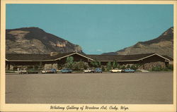 Whitney Gallery of Western Art Cody, WY Postcard Postcard Postcard