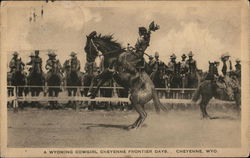 A Wyoming Cowgirl, Cheyenne Frontier Days Postcard Postcard Postcard