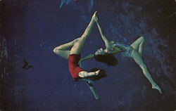 Two of the Weeki Wachee Mermaids Florida Postcard Postcard Postcard