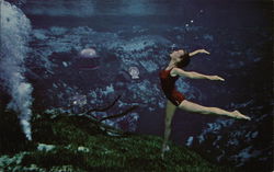 Weeki Wachee Mermaids Postcard