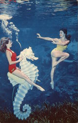 Beauties of the Deep Weeki Wachee, FL Postcard Postcard Postcard