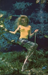 Weeki Wachee Mermaids Postcard