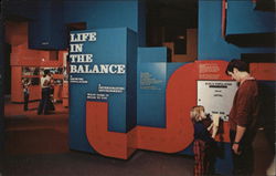 Life in the Balance, Museum of Science at Science Park Boston, MA Postcard Postcard Postcard