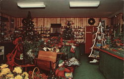 Christmas in the Grove Postcard
