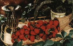 Florida Strawberry Festival and Hillsborough County Fair Postcard