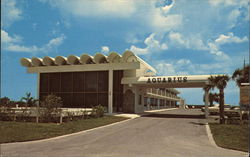 The Aquarius Ocean Front Resort Postcard