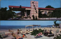 Miramar Motel Apartments Postcard