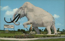 Giant Modeled Mammoth Bartow, FL Postcard Postcard Postcard