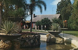 Floridaland Postcard