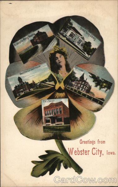 Greetings From Webster City Pansy Iowa
