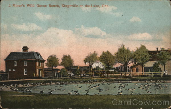 J. Miner's Wild Goose Ranch Kingsville-on-the-Lake Canada