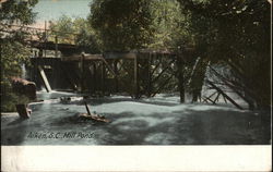 Mill Pond Aiken, SC Postcard Postcard Postcard