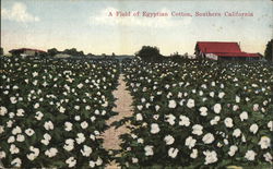 Stock #524042 Thumbnail