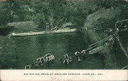 Swimming Pond at Seigler Springs Postcard