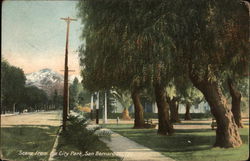 Scene From the City Park Scene From the City Park