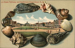 Ocean Pathway and Auditorium Postcard