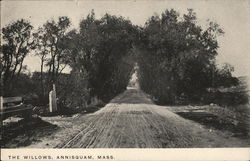 The Willows Annisquam, MA Postcard Postcard Postcard