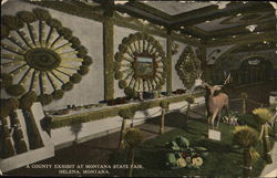 A County Exhibit at Montana State Fair Postcard