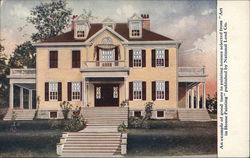 Art in House Painting Postcard