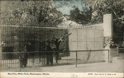 Bear Den at Miller Park Postcard