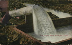 One of the Wells Hereford, TX Postcard Postcard Postcard