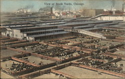 View of Stock Yards Chicago, IL Postcard Postcard Postcard