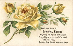 Well, Here I Am in Bronson Kansas Postcard Postcard Postcard