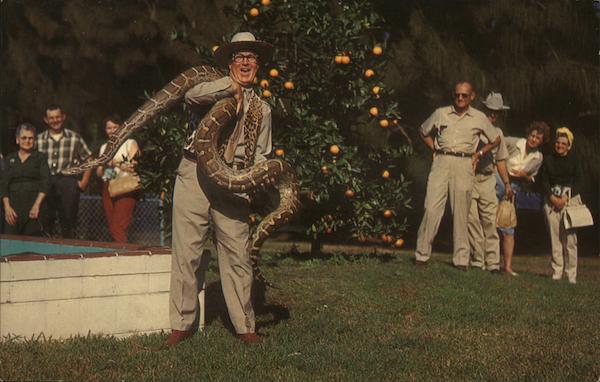 Owen Goodwin - Gatorland Zoo Snakes & Reptiles