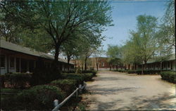 Colonial Motel Ames, IA Postcard Postcard Postcard