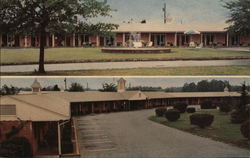 Shamrock Motel Gaffney, SC Postcard Postcard Postcard