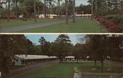 Forest Motel Postcard