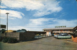 Shamrock Motel Dallas, TX Postcard Postcard Postcard