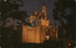 Sleeping Beauty Castle Postcard