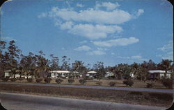 Homestead Cottage Court Postcard