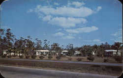 Homestead Cottage Court Florida Postcard Postcard Postcard