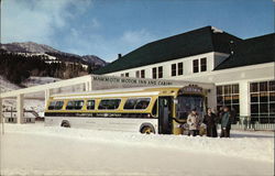 Mammoth Motor Inn and Cabins Yellowstone National Park Postcard Postcard Postcard