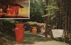 Enchanted Forest of the Adirondacks Postcard