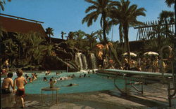 The Polynesian Village Postcard