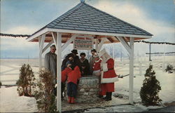 The Wishing Well at Christmas Park Albion, NY Postcard Postcard Postcard