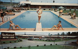 Redwood Motor Lodge Postcard