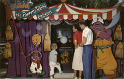 Ouija - The Fortune Telling Chicken Silver Springs, FL Postcard Postcard Postcard