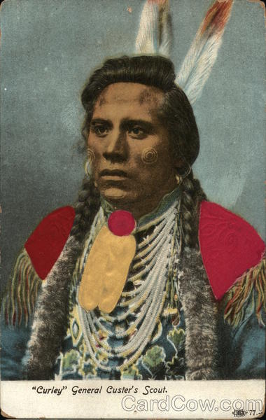 Curley General Custer's Scout Native Americana