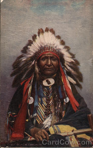 Black Chicken Native Americana