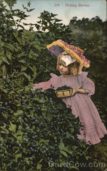 Picking Berries Children