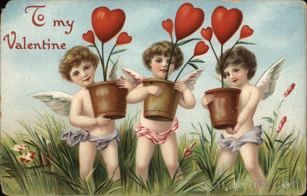 To My Valentine Cupid