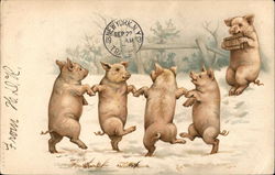 Dancing Pigs Postcard
