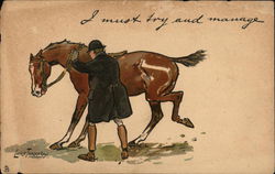 A Man and His Horse Horses Postcard Postcard Postcard