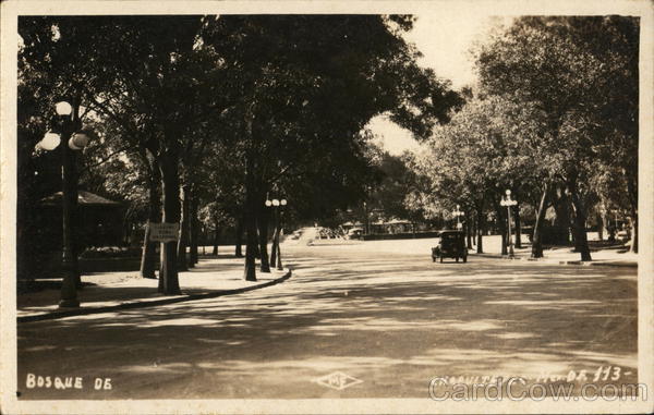 Bosque de Chapultepec Mexico City
