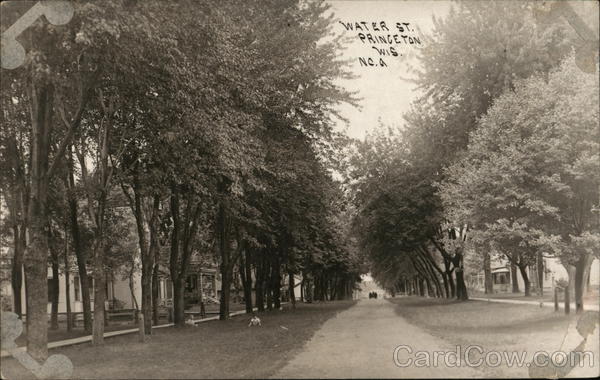 Water Street Princeton Wisconsin