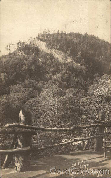 Deer Leap From Lone Trail Lodge Green Mountains Vermont